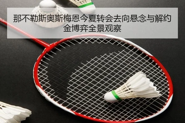 那不勒斯奥斯梅恩今夏转会去向悬念与解约金博弈全景观察